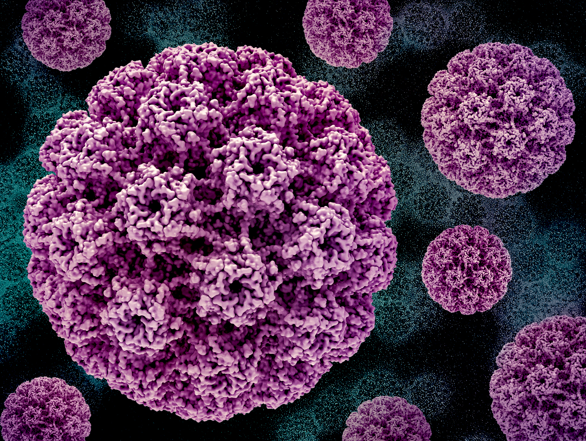 India’s Fight Against Cervical Cancer: The HPV Vaccination drive