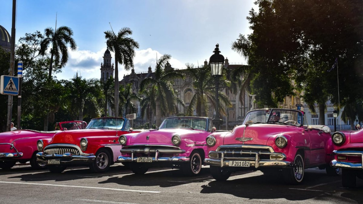 ED Cracks Down on Hyderabad Land Scam, Seizes 45 Vintage Cars and Cash Haul